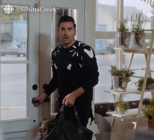 Schitts Creek screenshot of David asking What have you Done?